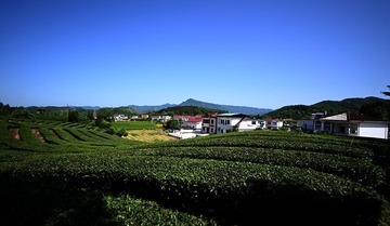 4B03AACD-D87B-40F3-8396-643F1BEC4DD2/L0/001