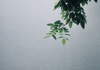 EE453906-F3E8-45CD-BE10-1C938EE83E5F/L0/001