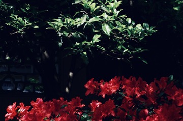 DF0447A1-FD82-4B99-AA54-AD763E76E44A/L0/001