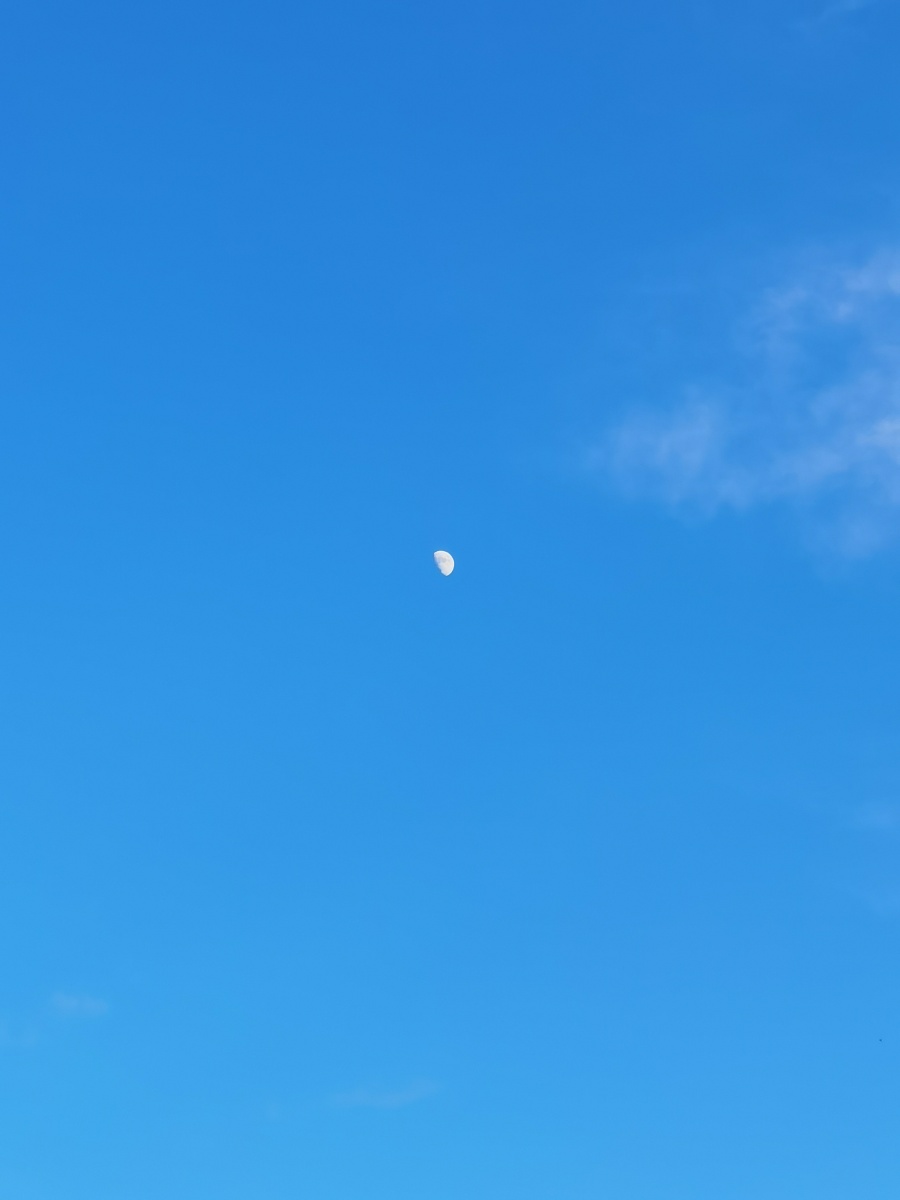 在西藏大白天拍摄的月亮 - 木子君羊 - 图虫