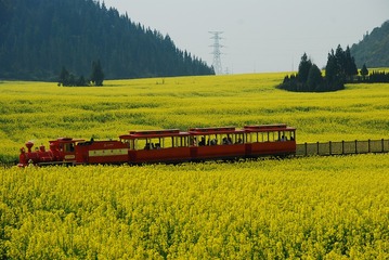 1485401