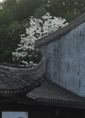 1305512