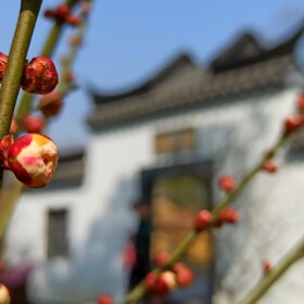 金陵东木标为城市的图博 金陵东木 图虫摄影网 金陵东木标为城市的图博 金陵东木 图虫摄影网
