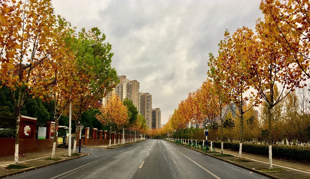 第一张拍摄于今年11月30日,晨跑后回家的路上看见如此美景,靠边、停车、拿出手机拍摄,三步搞定。