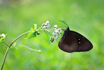 6E7114B3-5987-448F-8408-E6D71A404381/L0/001