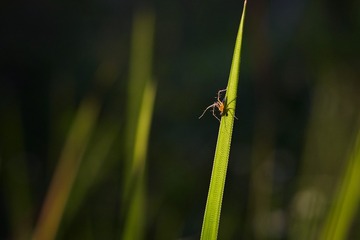 C0B0403E-495F-4598-A750-91C49BB8F03F/L0/001