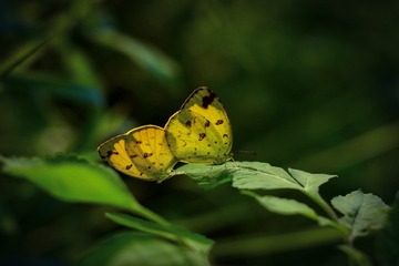 E398D656-17B2-4046-920C-45F55E030142/L0/001