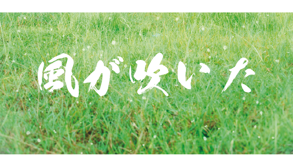 起风了唯有努力生存