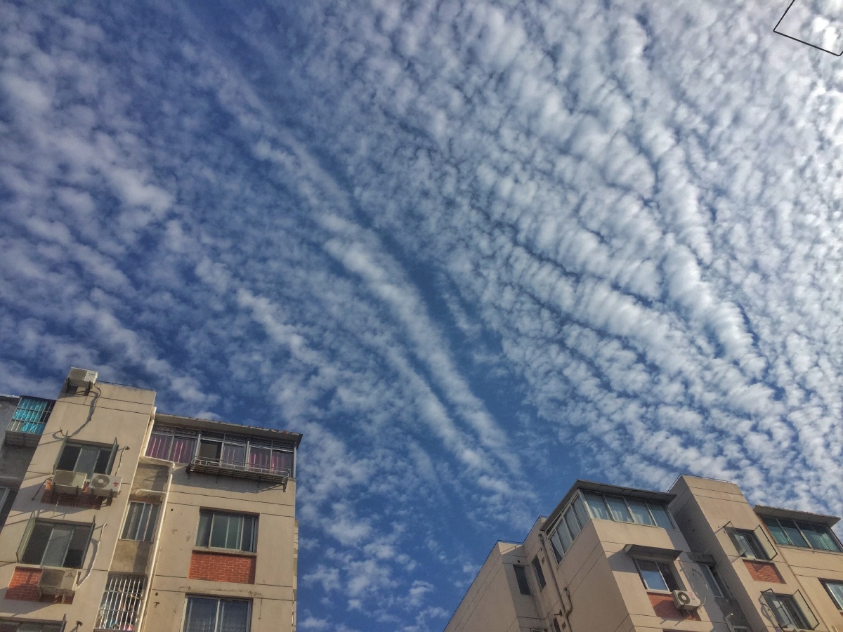 四季天 - Tensx - 图虫网 - 最好的摄影师都在这