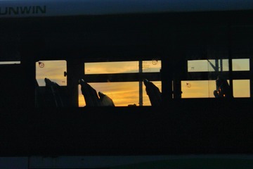 DD6B2098-F0D7-4059-A78A-CCCE05949499/L0/001