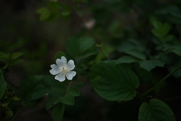 45853477-2B6F-4062-AA59-5D147869FD6B/L0/001