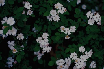 2B0ADF61-3A76-410B-927E-638B22C6EB2F/L0/001