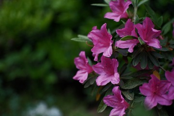 EAE0B810-E3D6-4F59-B022-1CCE58572F34/L0/001