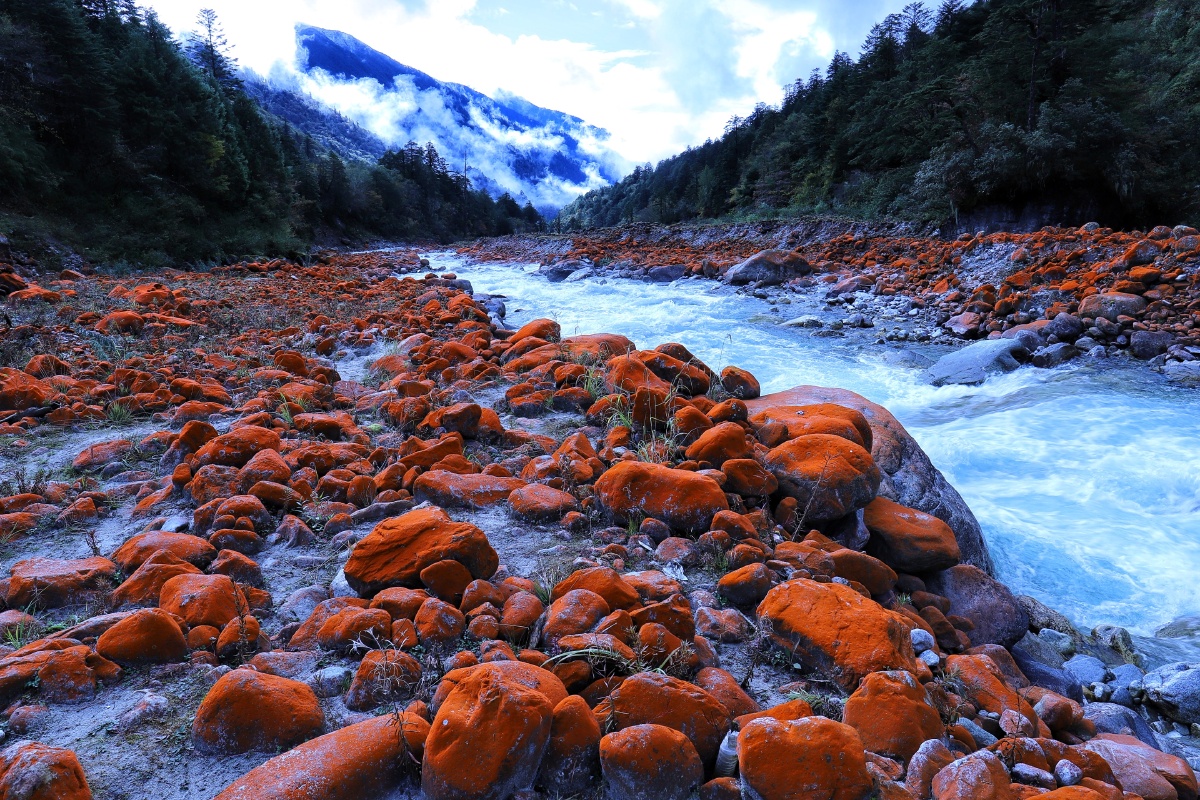 雅家埂的火星石