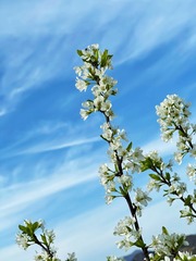 1A1FC3A3-2B40-4208-BC81-FCF24F3FD0A0/L0/001