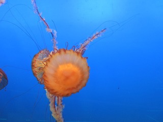 891299