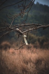 290514