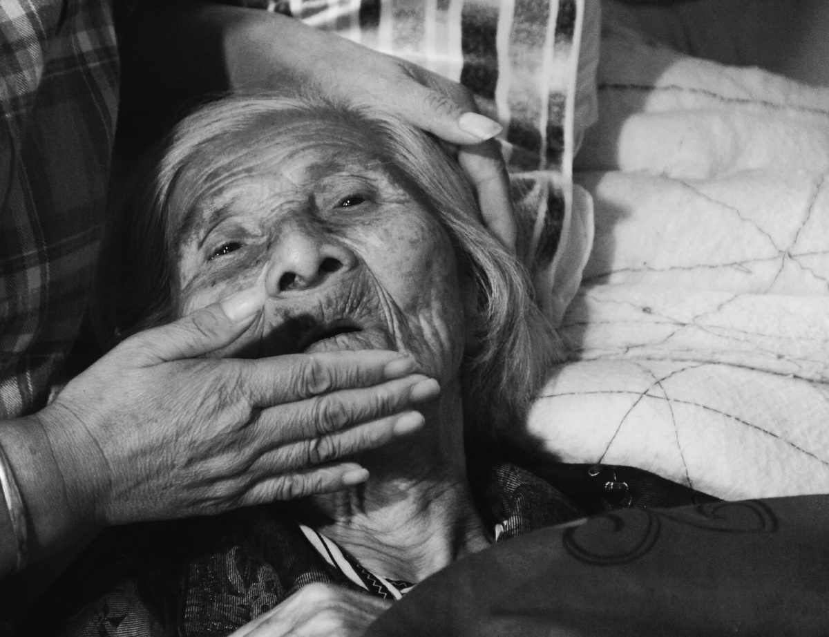 现在轮到长大成人的女儿抚摸着你的苍老脸庞