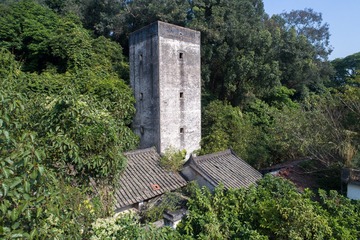 DJI_0310