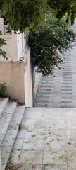 1000004049