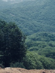 F8AA31CD-9F51-4E40-A2D8-F37E95994D32/L0/001