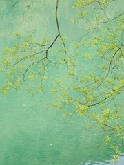 A39B73F7-1971-4C07-8E7B-8F600AC359A3/L0/001