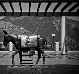 _DSC0270