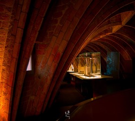 _DSC2426