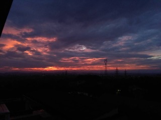 542204