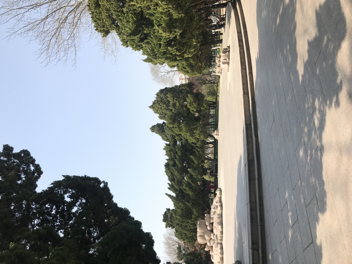 青岛沧口公园随手拍