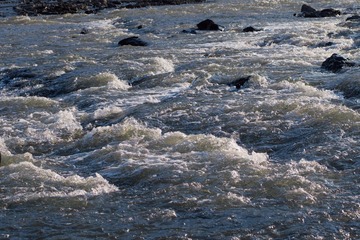 CB1D07F0-C471-4335-970D-DBBAD5101E70/L0/001