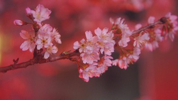 16B82538-8A71-409D-9EF7-C9177D6A4B94/L0/001