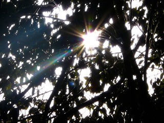 Optional("B13D1EB5-AC39-4574-9D9C-F97682CE7B6C/L0/001")