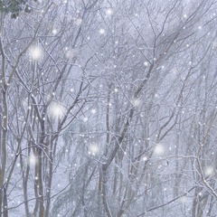 Optional("A94CF32D-F806-45A9-894D-E503FB3F3D43/L0/001")