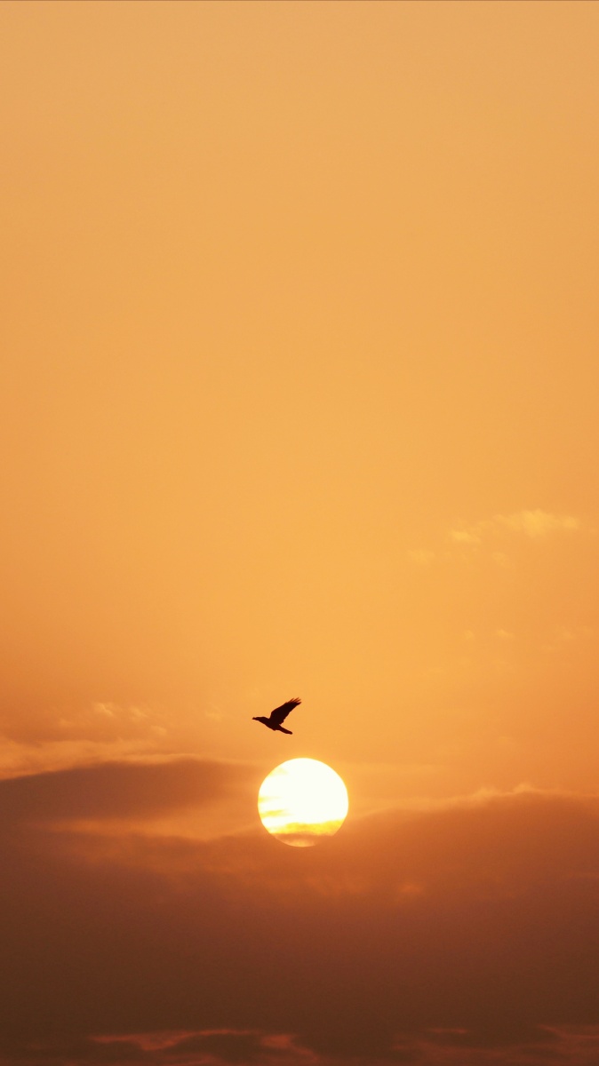 落霞与孤鹜齐飞! - 就叫你一林吧 - 图虫