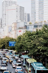 DSC02644城市森林
