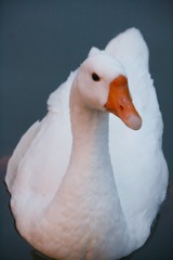 128378