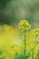 8BFAA23B-035C-4846-BE3C-11445F642FE6/L0/001