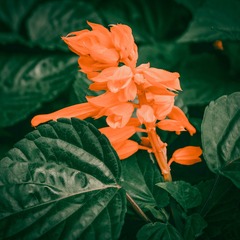 266047F6-DC0C-44AD-A7EC-4C923525C8E2/L0/001
