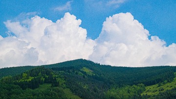 7C1B4173-1124-4A2C-A6DE-E576282D84BD/L0/001