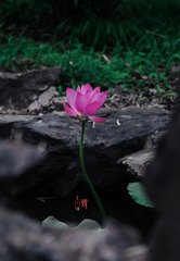 1933F734-A213-4A7D-9D50-D4CAE154027C/L0/001