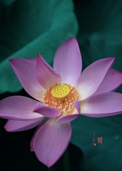 D76544B9-DB63-4AD1-8484-F6DB2F250C2E/L0/001