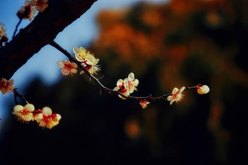 78388A4C-0CFA-44B7-B764-1F00E09A81BA/L0/001