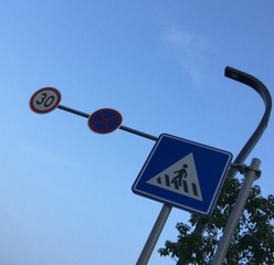 Optional(