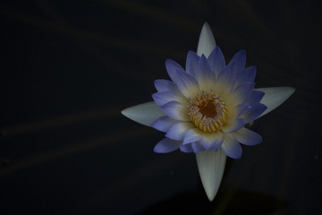 35A02FEC-E183-4DF2-B52B-460BA717CE72/L0/001