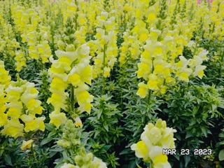 E68DA6B0-7FEB-4937-B823-612AD44D2B49/L0/001