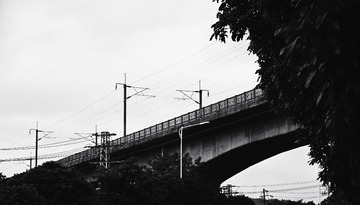 56202