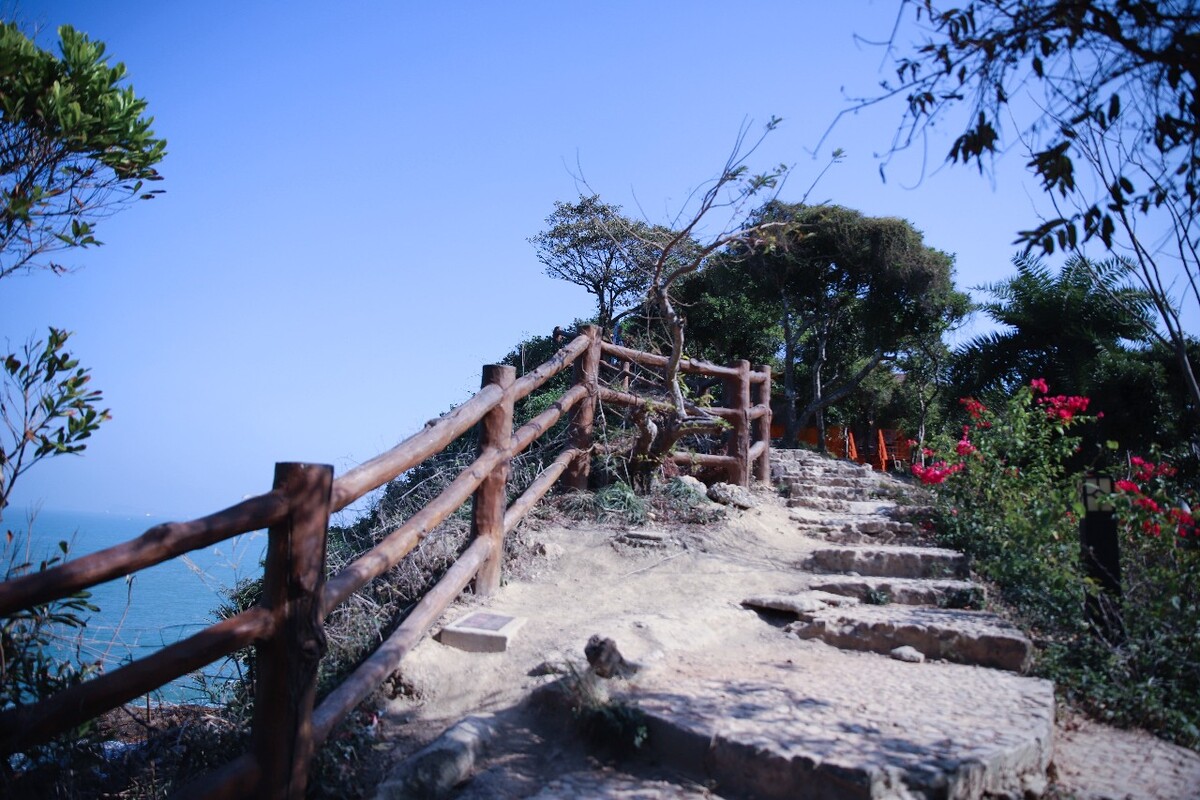 澳门集美平台-委托管理?特许经营?自建品牌?何种合作方式才能使资产更快增值?