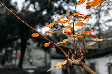 F283DBE8-129F-4603-92CB-FD00C2BF5BDF/L0/001