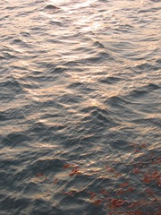 F6D6A2D8-BABC-48E4-98E0-D53577C5B593/L0/001